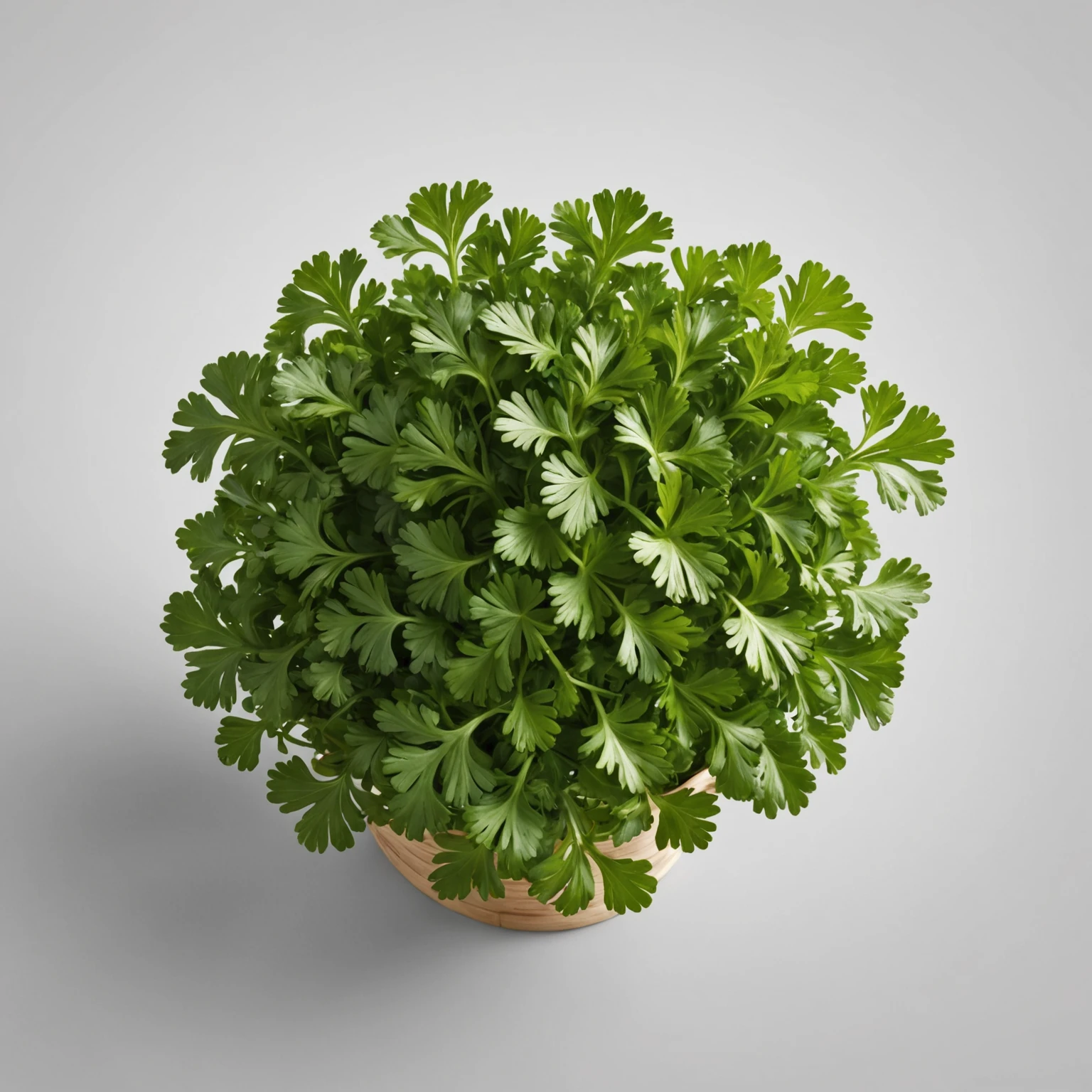 Fresh Parsley recommended for Air Fryer Crispy Mediterranean Grilled Octopus